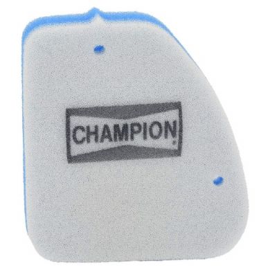 Vzduchový filtr Champion CAF4301DS